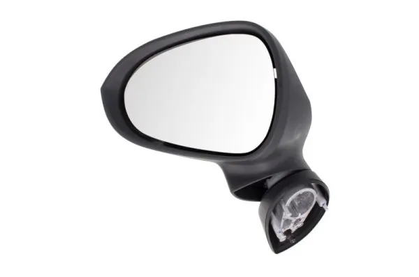 Exterior Mirror 5402-10-2002287P