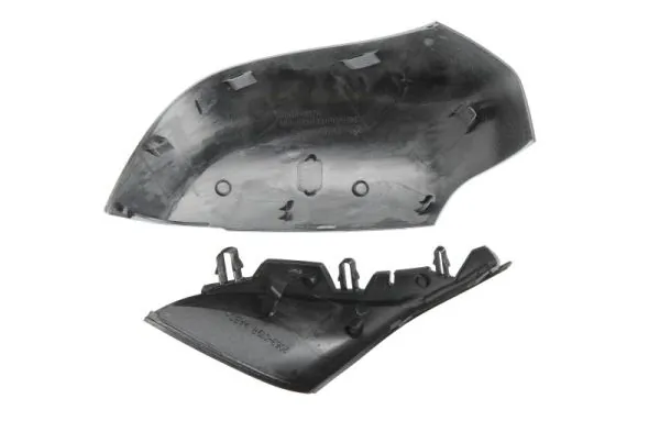 Housing, exterior mirror 6103-09-2002152P