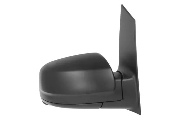 Exterior Mirror 5402-02-2001828P