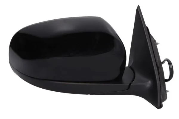 BLIC 5402-55-2001476P Exterior Mirror