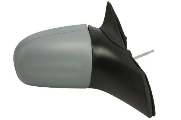 BLIC 5402-04-1117217P Exterior Mirror