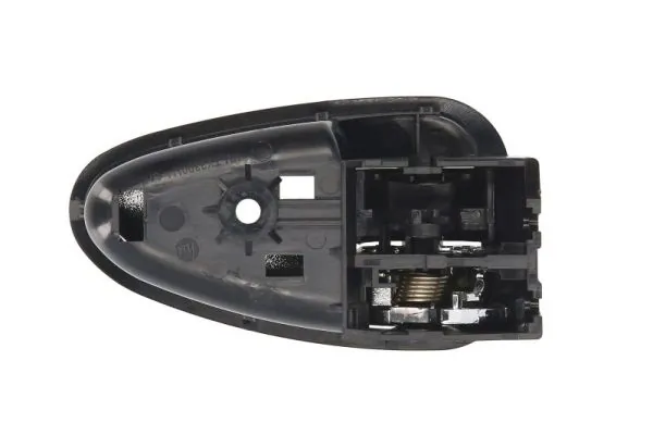 BLIC 6010-19-068409P Exterior Door Handle