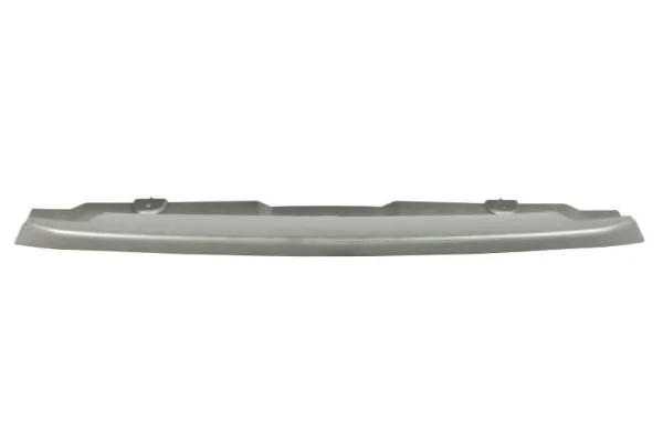 BLIC 6509-01-6456920P Trim/Protection Strip, bumper