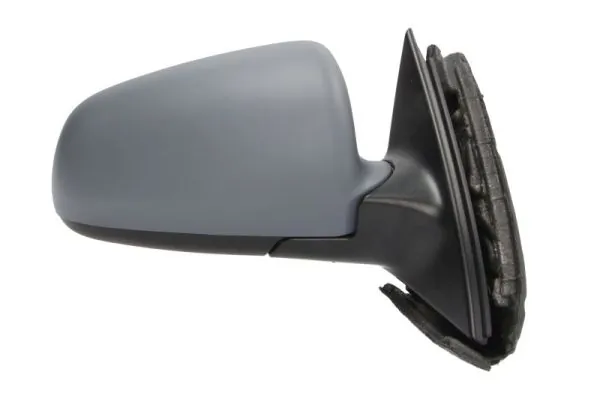 Exterior Mirror 5402-04-1119525P