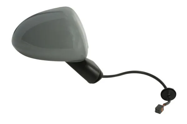 Exterior Mirror 5402-04-1129225P