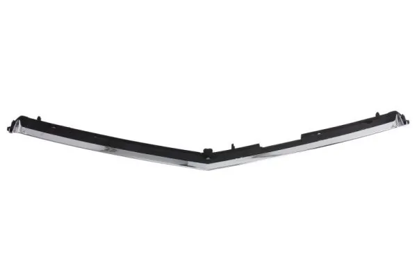 BLIC 6502-07-3529990P Trim/Protection Strip, radiator grille