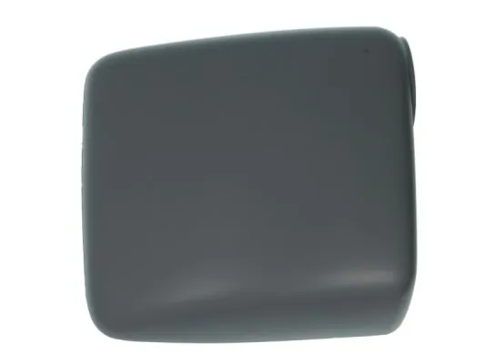 BLIC 6103-01-1322222P Housing, exterior mirror