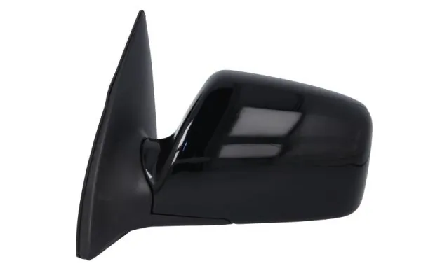 BLIC 5402-53-2001571P Exterior Mirror