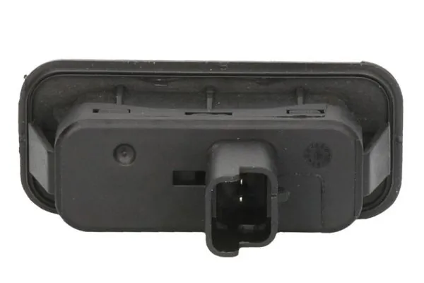 Switch, tailgate release 6010-09-047401C