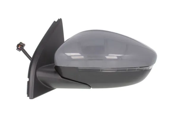 Exterior Mirror 5402-08-2002077P