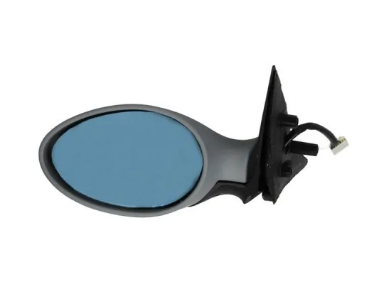Exterior Mirror 5402-04-1139273P