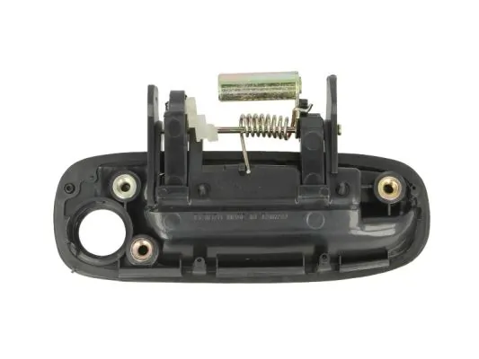 BLIC 6010-19-030401P Exterior Door Handle
