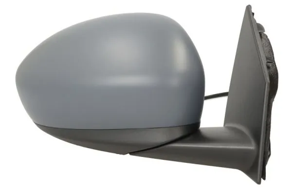 BLIC 5402-07-2590313P Exterior Mirror
