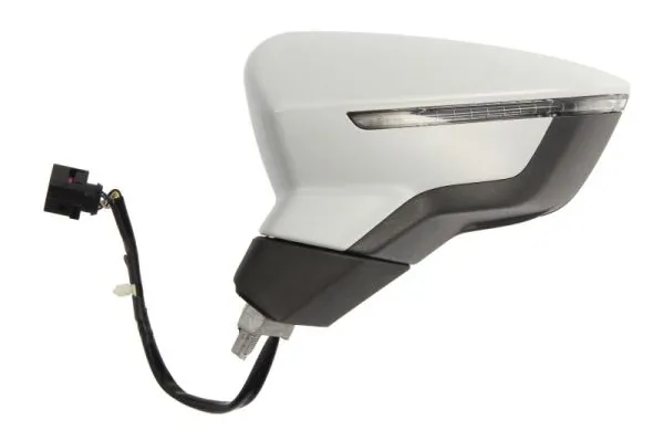 Exterior Mirror 5402-10-2002305P