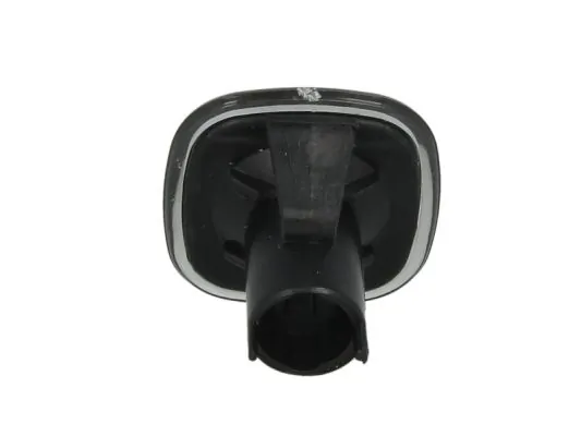 BLIC 5403-25-016104S Direction Indicator
