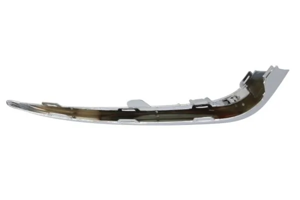 BLIC 6502-07-00819918P Trim/Protection Strip, bumper