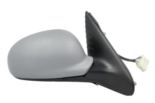 BLIC 5402-08-2002906P Exterior Mirror