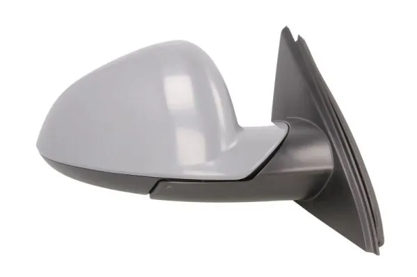 Exterior Mirror 5402-04-1119221P