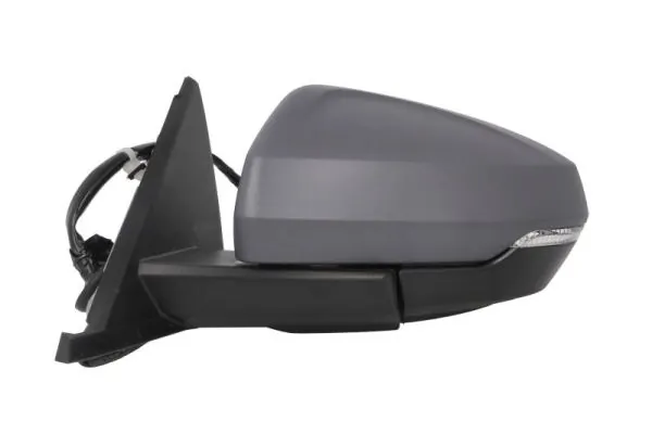 BLIC 5402-25-2205316P Exterior Mirror