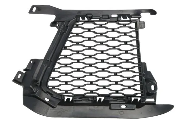 BLIC 6502-07-2003993P Ventilation Grille, bumper