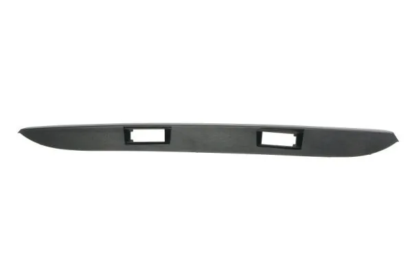 Trim/Protection Strip, door 5703-06-3547579P