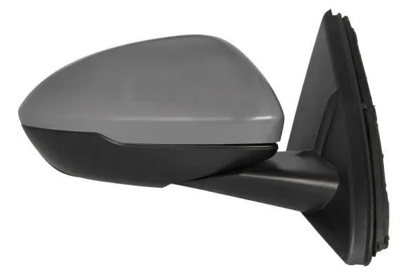 BLIC 5402-04-1785315P Exterior Mirror