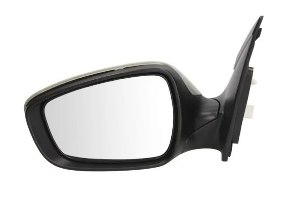 Exterior Mirror 5402-20-2001411P