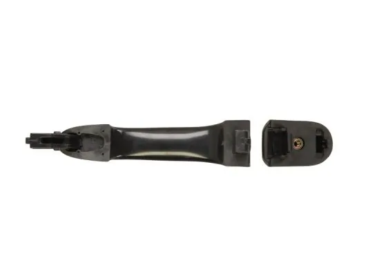 BLIC 6010-53-019403P Exterior Door Handle