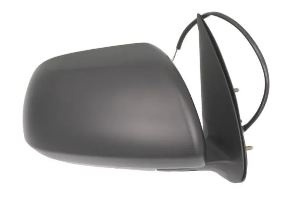 BLIC 5402-19-2002484P Exterior Mirror
