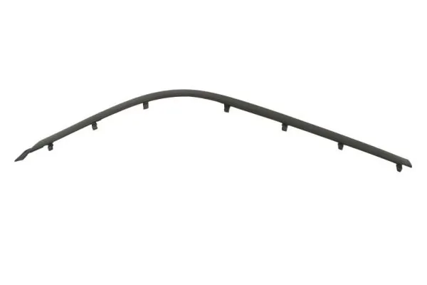 BLIC 5703-05-0065923P Trim/Protection Strip, bumper
