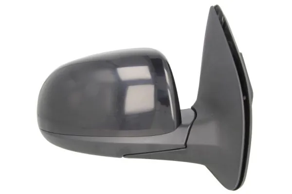 BLIC 5402-20-2001406P Exterior Mirror
