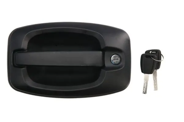 Exterior Door Handle 6010-07-038417PP