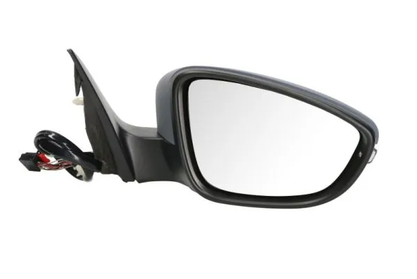 BLIC 5402-01-2002696P Exterior Mirror