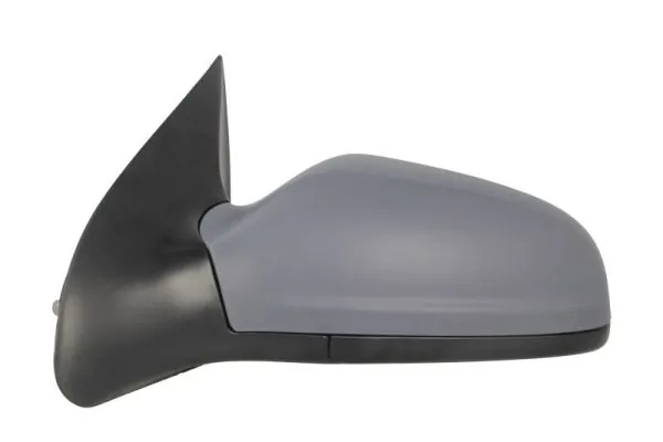 Exterior Mirror 5402-04-1139235P