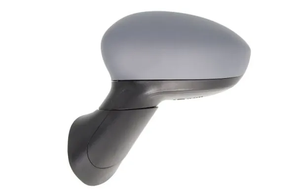 Exterior Mirror 5402-04-1121933P