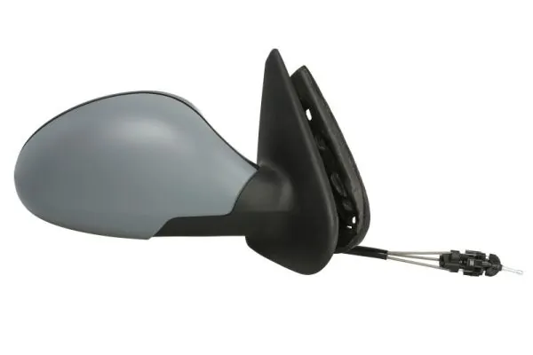 Exterior Mirror 5402-04-1138997P