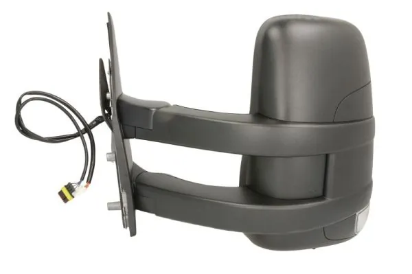 Exterior Mirror 5402-30-2001469P