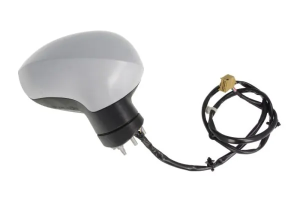 BLIC 5402-10-2002280P Exterior Mirror