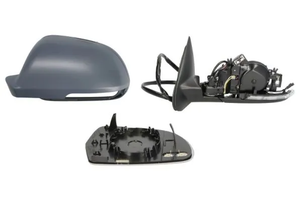 BLIC 5402-43-1312310P Exterior Mirror