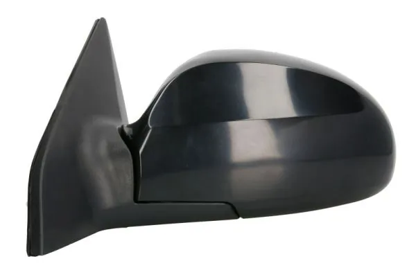 BLIC 5402-53-2001495P Exterior Mirror