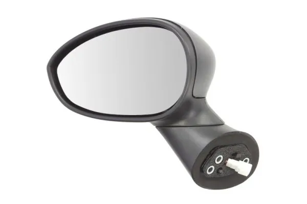 Exterior Mirror 5402-04-1125933P