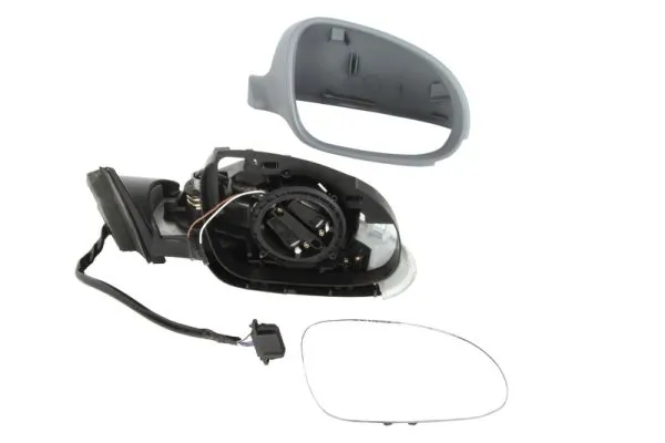 Exterior Mirror 5402-04-1121117P