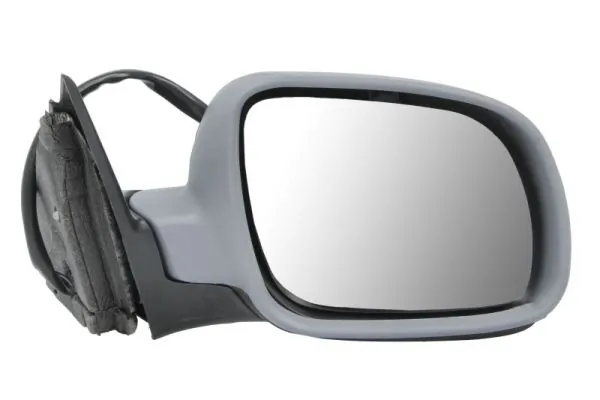 Exterior Mirror 5402-04-1131111P