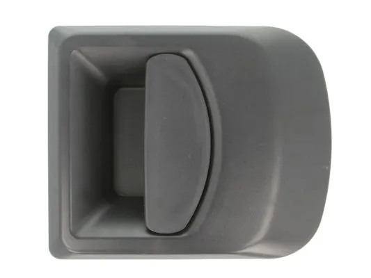 Exterior Door Handle 6010-30-002402P