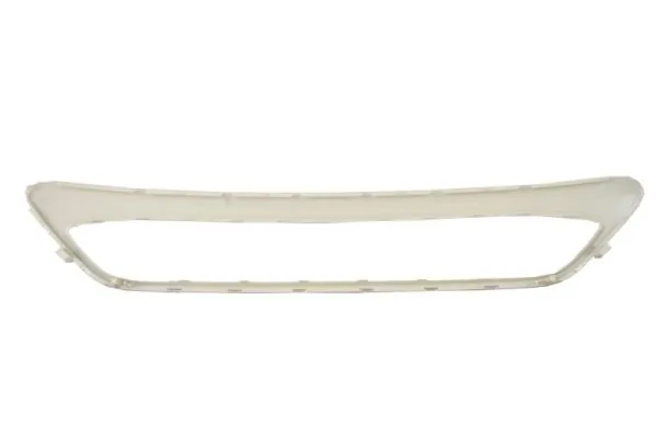 BLIC 6502-07-2579982P Trim/Protection Strip, radiator grille