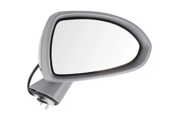 Exterior Mirror 5402-04-2001990P