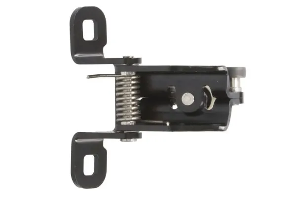 BLIC 6003-00-0225P Door Hinge