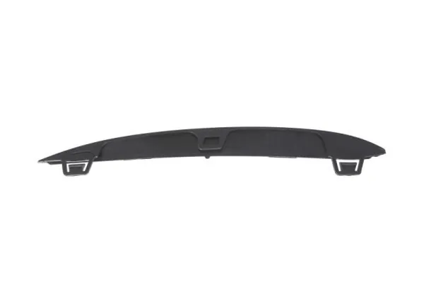 BLIC 6502-07-0067928P Trim/Protection Strip, bumper