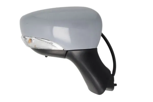 Exterior Mirror 5402-09-2002132P