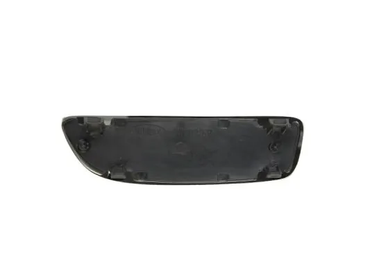 Mirror Glass, exterior mirror 6102-02-1233946P